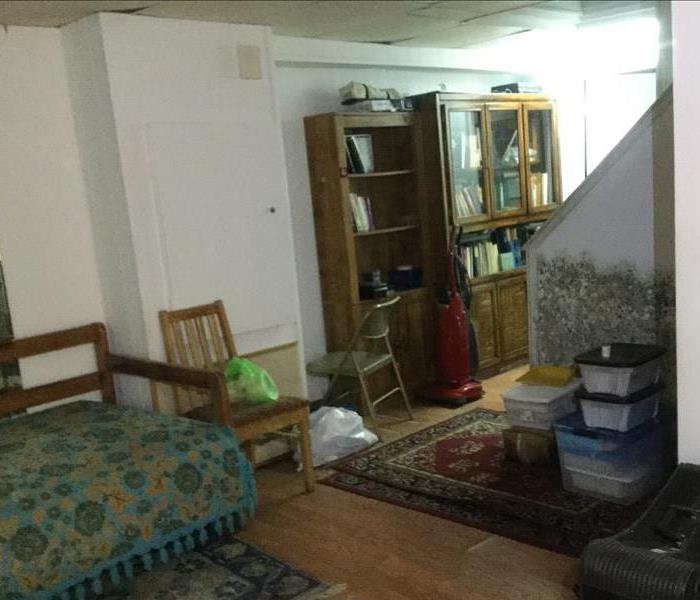 A basement with furniture that has been heavily damaged by mold
