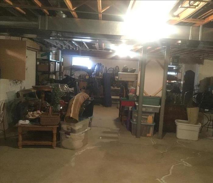 A basement with many mold-damaged items