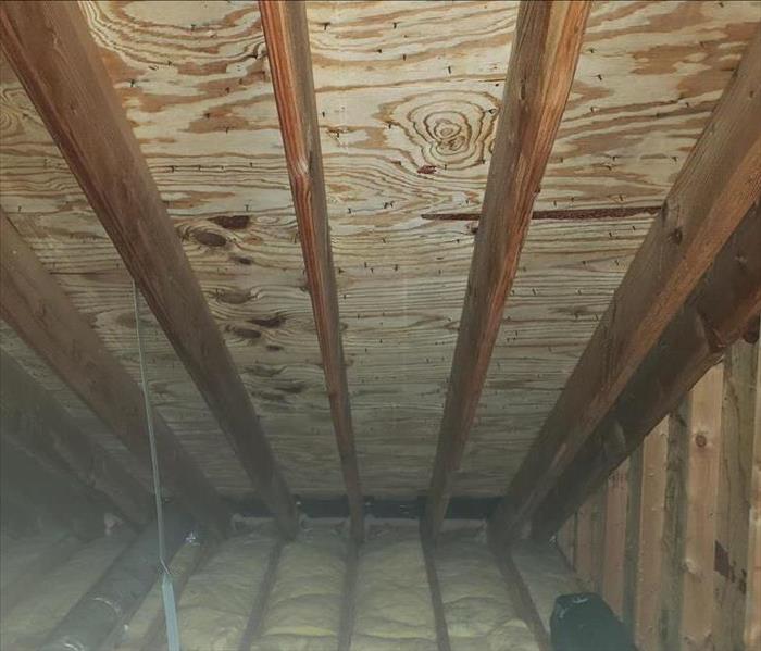 Attic sheathing after mold stain remover is applied