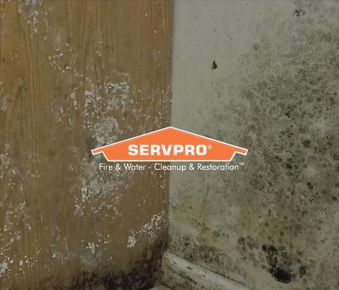 SERVPRO logo in front of a moldy corner of two walls